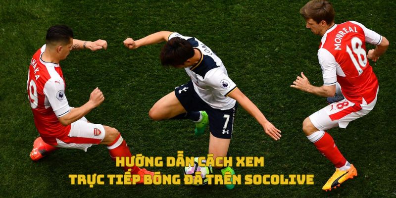 Trực Tiếp Bóng Đá Socolive Có Bản Quyền Không? Góc Nhìn Đa Chiều 7 Hướng dẫn cách xem trực tiếp bóng đá trên Socolive TV