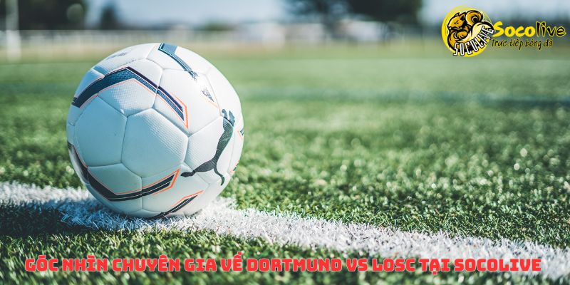 Link trực tiếp Dortmund đấu với LOSC & kịch bản hấp dẫn trước trận 5 Góc nhìn chuyên gia về Dortmund vs LOSC tại Socolive